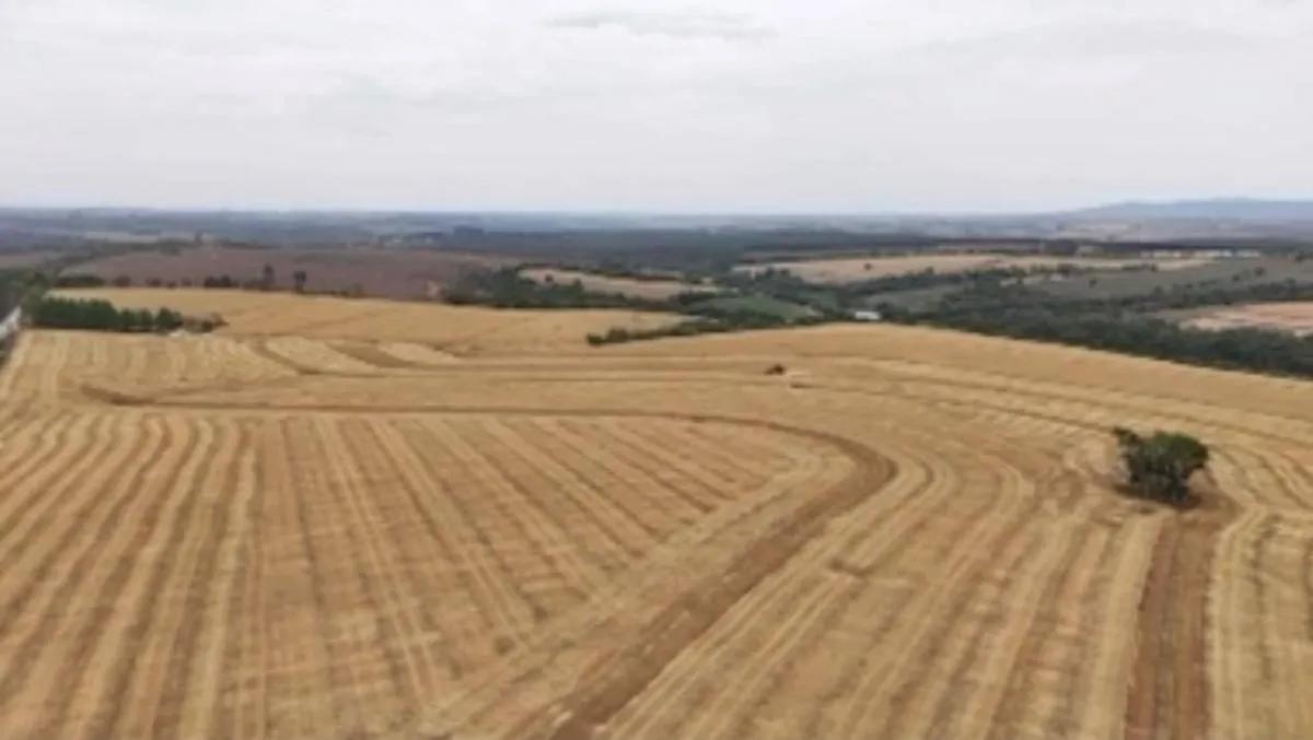 Fazenda à venda de 346 ha em Itapetininga, SP, Brasil