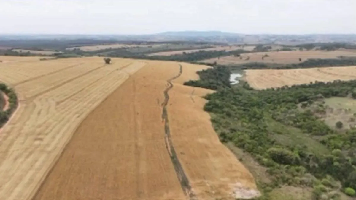 Fazenda à venda de 346 ha em Itapetininga, SP, Brasil