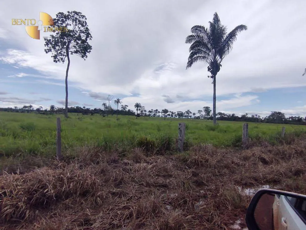 Farm for sale of 38,054 acres in Ribeirão Cascalheira, MT, Brazil