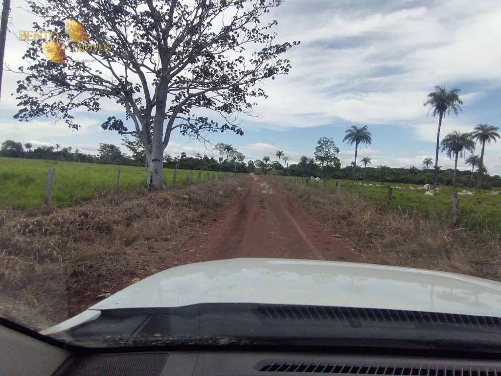 Farm for sale of 38,054 acres in Ribeirão Cascalheira, MT, Brazil