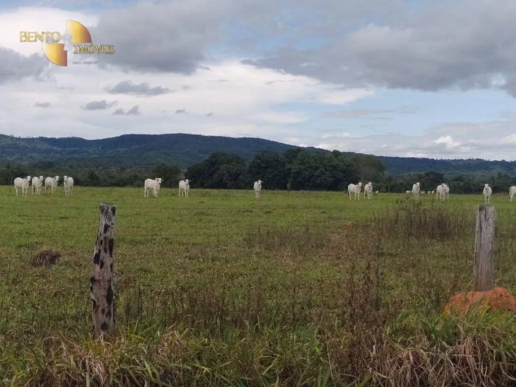 Farm for sale of 38,054 acres in Ribeirão Cascalheira, MT, Brazil