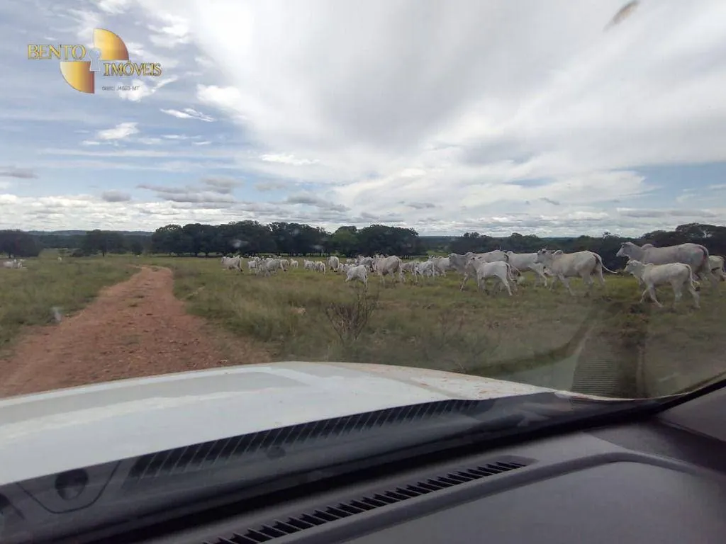 Farm for sale of 38,054 acres in Ribeirão Cascalheira, MT, Brazil