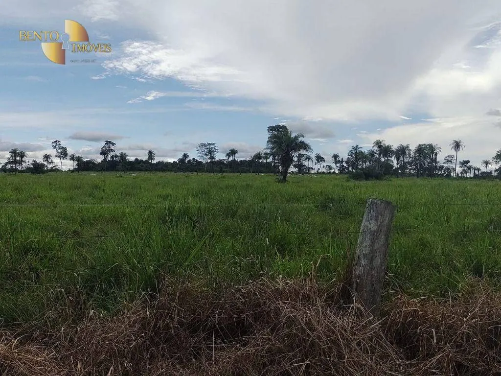 Farm for sale of 38,054 acres in Ribeirão Cascalheira, MT, Brazil
