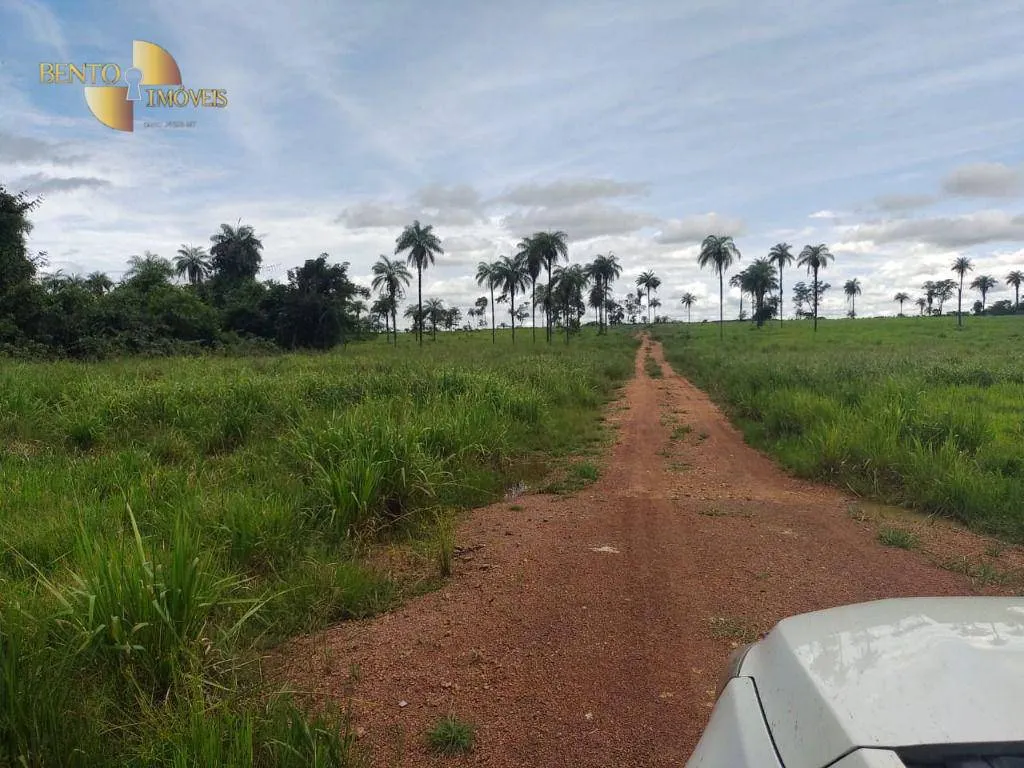 Farm for sale of 38,054 acres in Ribeirão Cascalheira, MT, Brazil