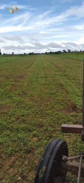 Farm for sale of 38,054 acres in Ribeirão Cascalheira, MT, Brazil