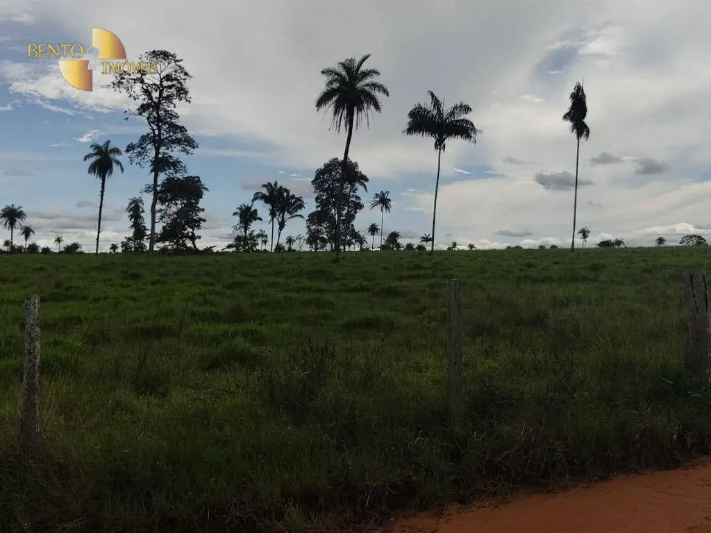 Farm for sale of 38,054 acres in Ribeirão Cascalheira, MT, Brazil
