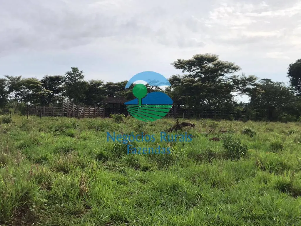 Fazenda à venda de 4.598 ha em Cumaru do Norte, PA, Brasil