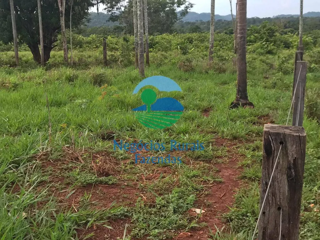 Fazenda à venda de 4.598 ha em Cumaru do Norte, PA, Brasil