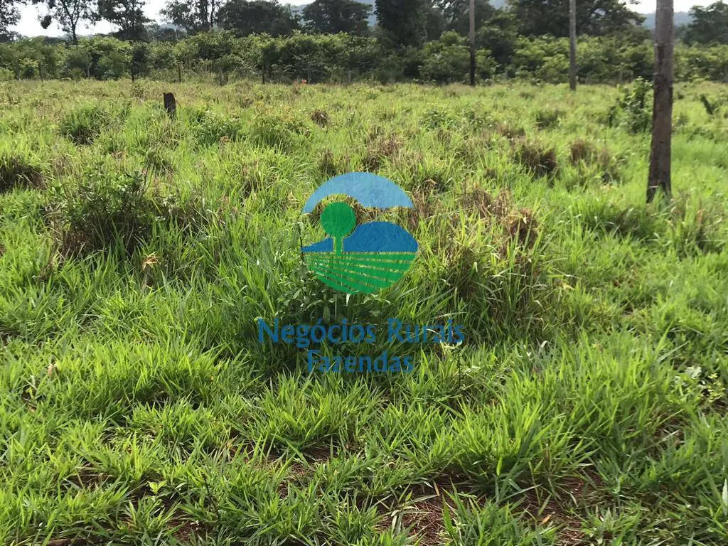 Fazenda à venda de 4.598 ha em Cumaru do Norte, PA, Brasil