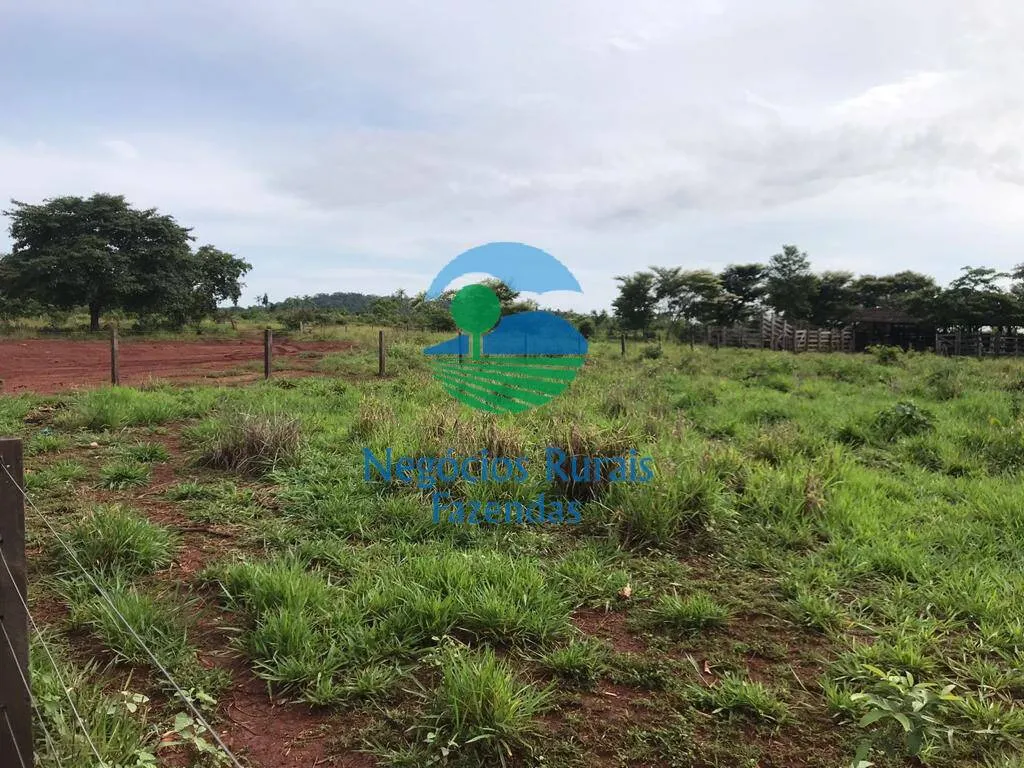Fazenda à venda de 4.598 ha em Cumaru do Norte, PA, Brasil