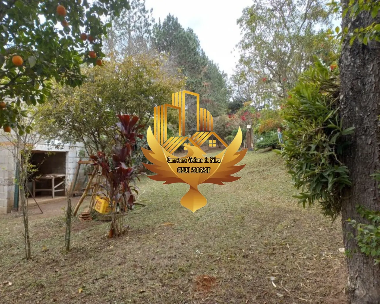 Sítio à venda de 31 ha em São Luiz do Paraitinga, SP, Brasil