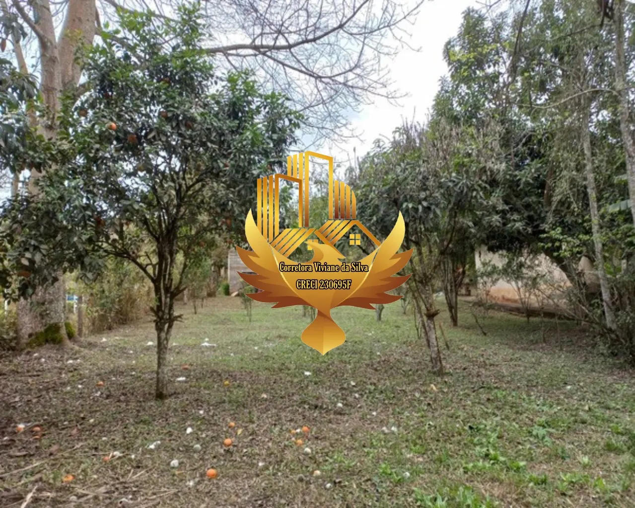 Sítio à venda de 31 ha em São Luiz do Paraitinga, SP, Brasil