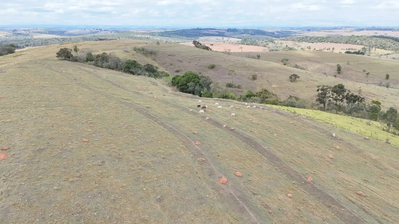 Fazenda à venda de 211 ha em Sorocaba, SP, Brasil
