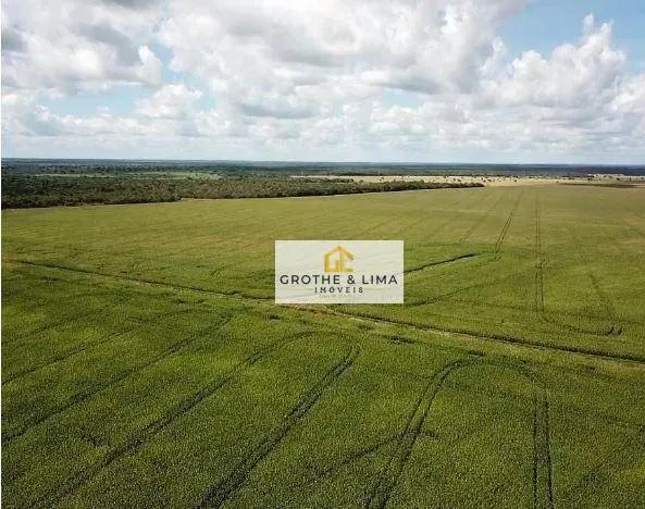 Farm for sale of 27,728 acres in Davinópolis, MA, Brazil