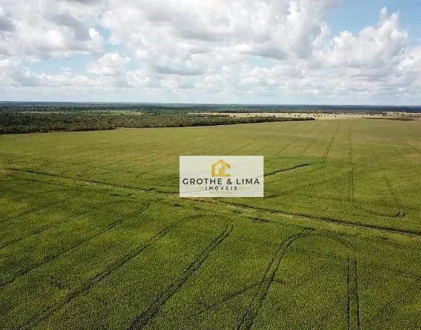 Farm for sale of 27,728 acres in Davinópolis, MA, Brazil