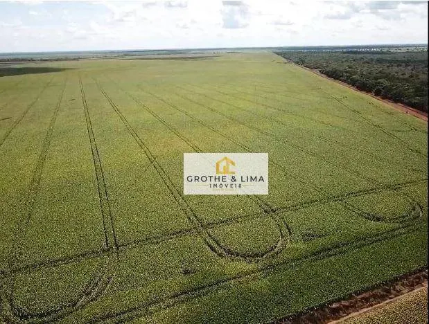 Farm for sale of 27,728 acres in Davinópolis, MA, Brazil