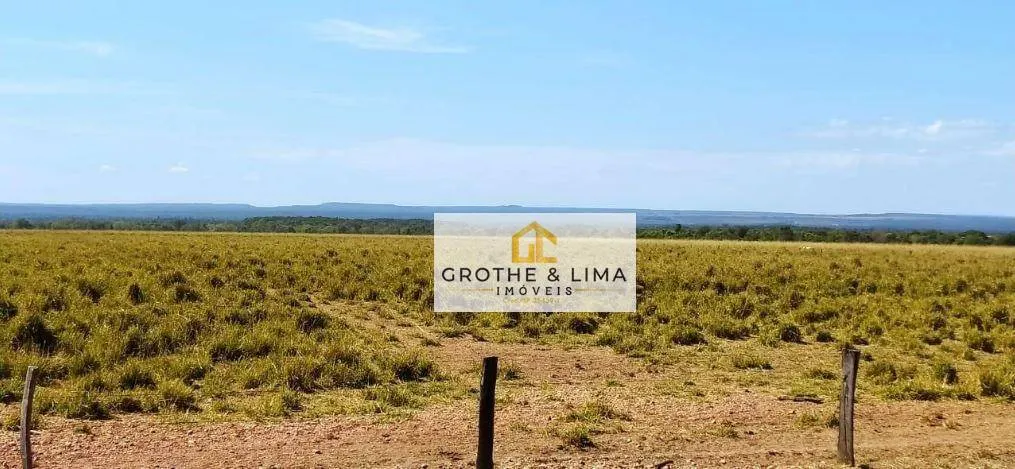 Farm for sale of 27,728 acres in Davinópolis, MA, Brazil