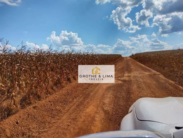 Farm for sale of 27,728 acres in Davinópolis, MA, Brazil