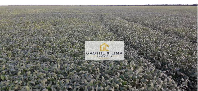 Fazenda à venda de 11.221 ha em Davinópolis, MA, Brasil