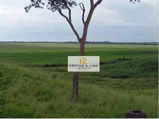 Farm for sale of 27,728 acres in Davinópolis, MA, Brazil