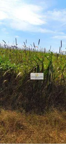 Farm for sale of 27,728 acres in Davinópolis, MA, Brazil