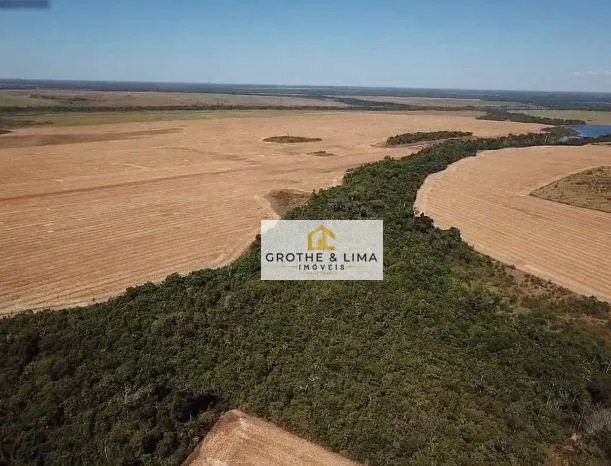 Farm for sale of 27,728 acres in Davinópolis, MA, Brazil