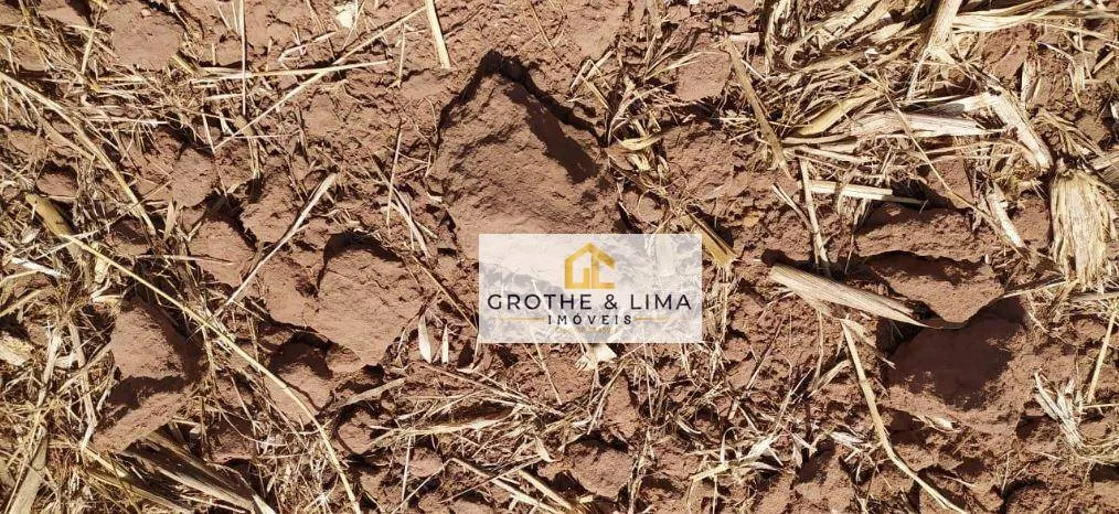 Farm for sale of 27,728 acres in Davinópolis, MA, Brazil