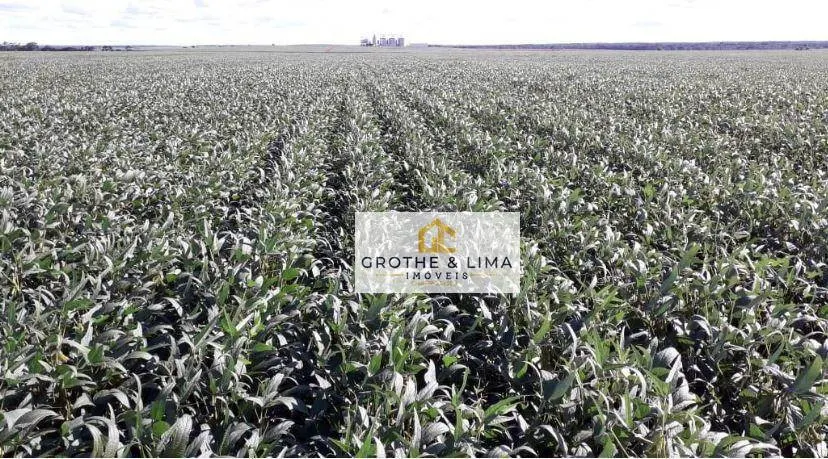 Farm for sale of 27,728 acres in Davinópolis, MA, Brazil