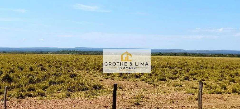 Farm for sale of 27,728 acres in Davinópolis, MA, Brazil