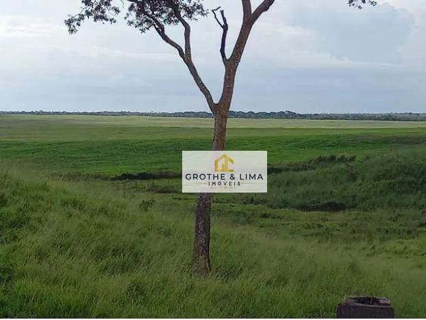 Farm for sale of 27,728 acres in Davinópolis, MA, Brazil