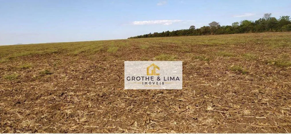 Farm for sale of 27,728 acres in Davinópolis, MA, Brazil