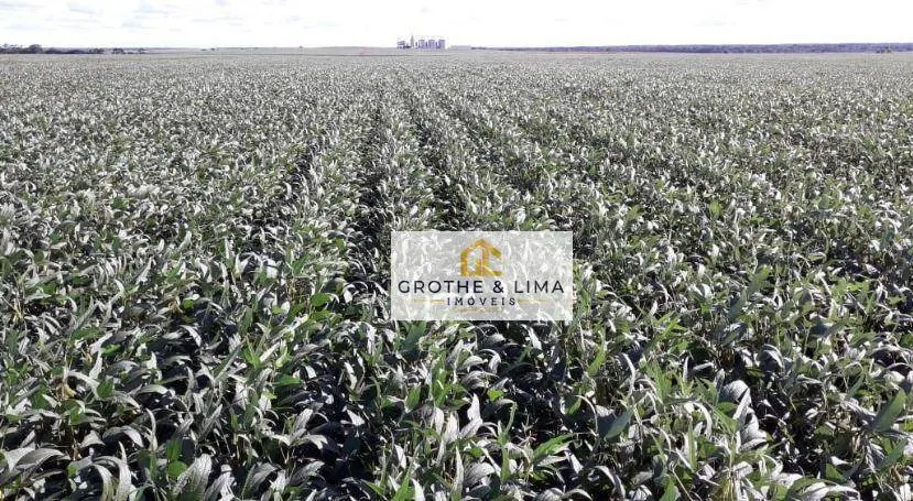 Farm for sale of 27,728 acres in Davinópolis, MA, Brazil