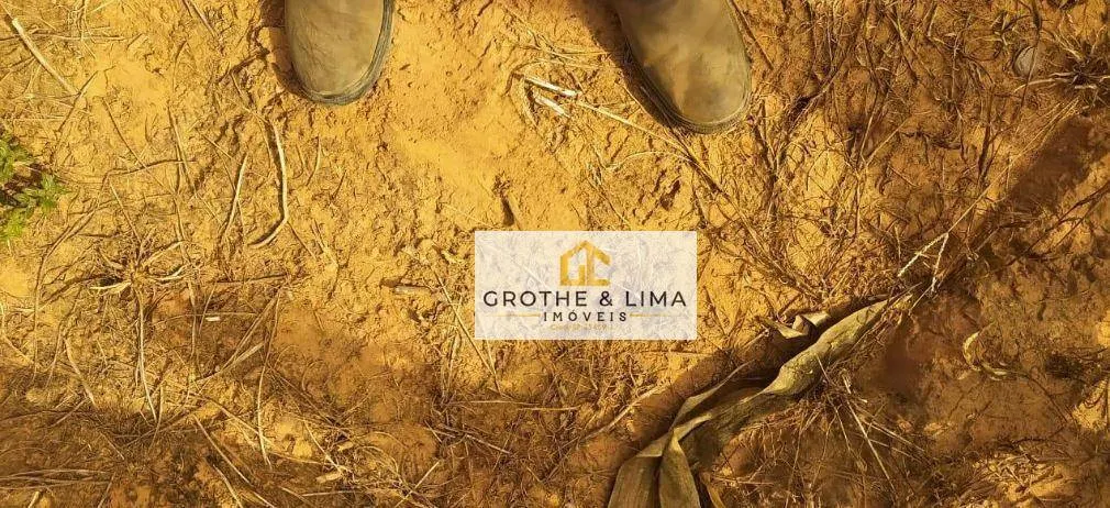 Farm for sale of 27,728 acres in Davinópolis, MA, Brazil
