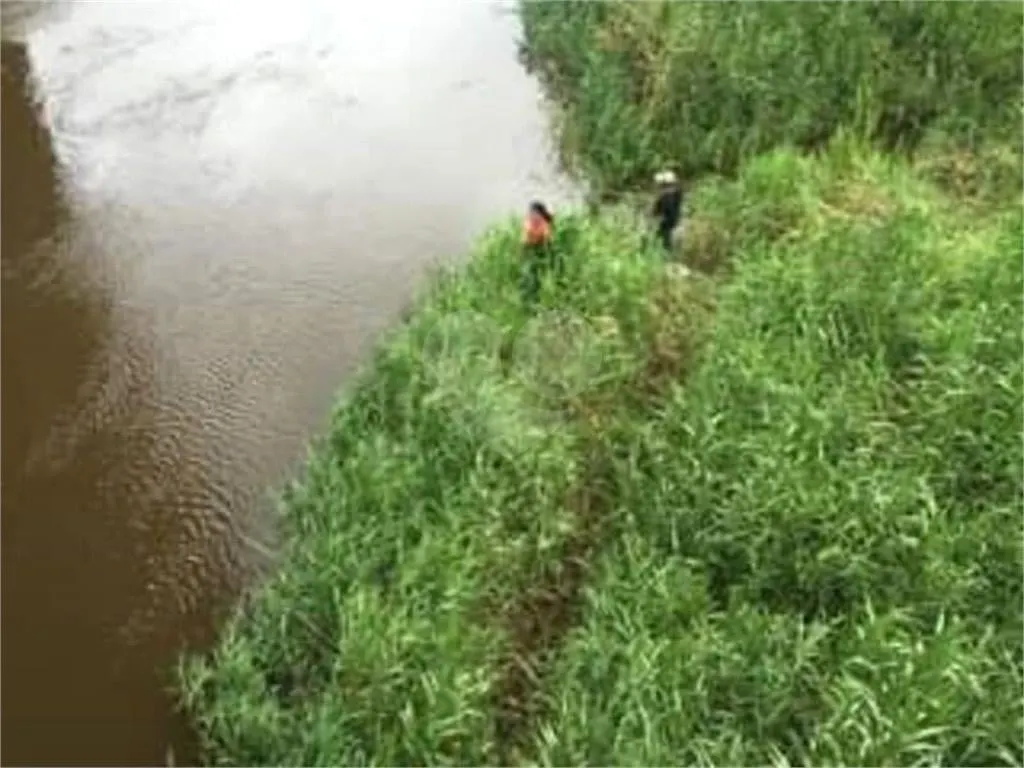 Fazenda à venda de 19.360 ha em Sete Barras, SP, Brasil