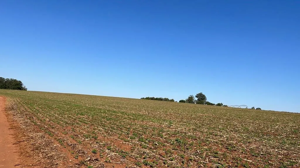 Fazenda à venda de 230 ha em Itapeva, SP, Brasil