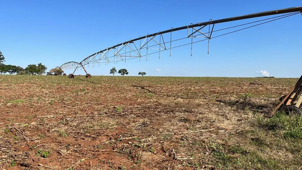 Fazenda à venda de 230 ha em Itapeva, SP, Brasil