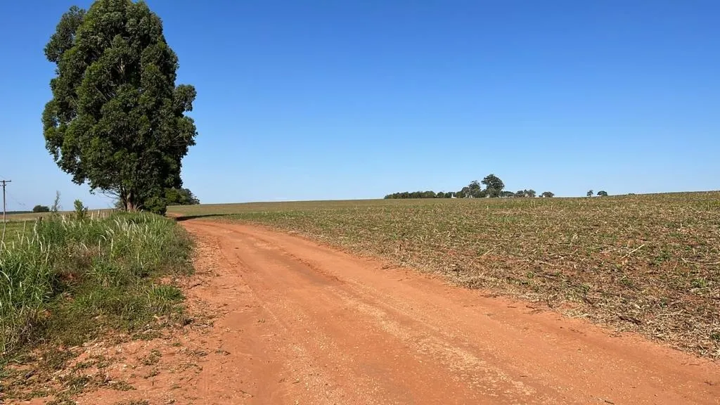 Fazenda à venda de 230 ha em Itapeva, SP, Brasil
