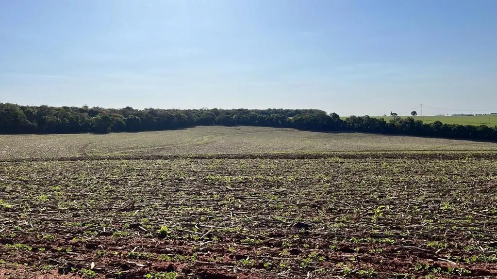 Fazenda à venda de 230 ha em Itapeva, SP, Brasil