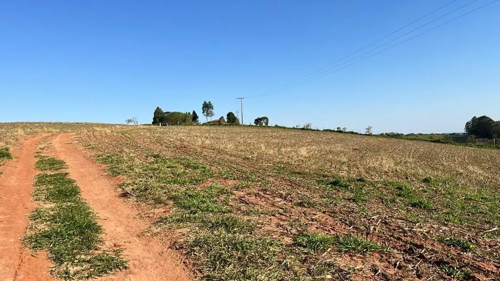 Fazenda à venda de 230 ha em Itapeva, SP, Brasil