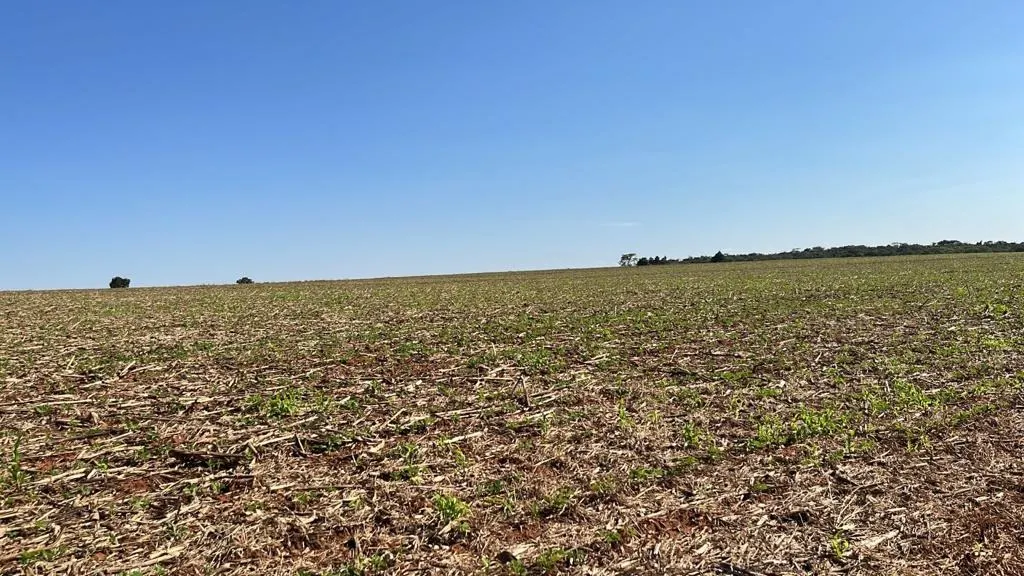 Fazenda à venda de 230 ha em Itapeva, SP, Brasil