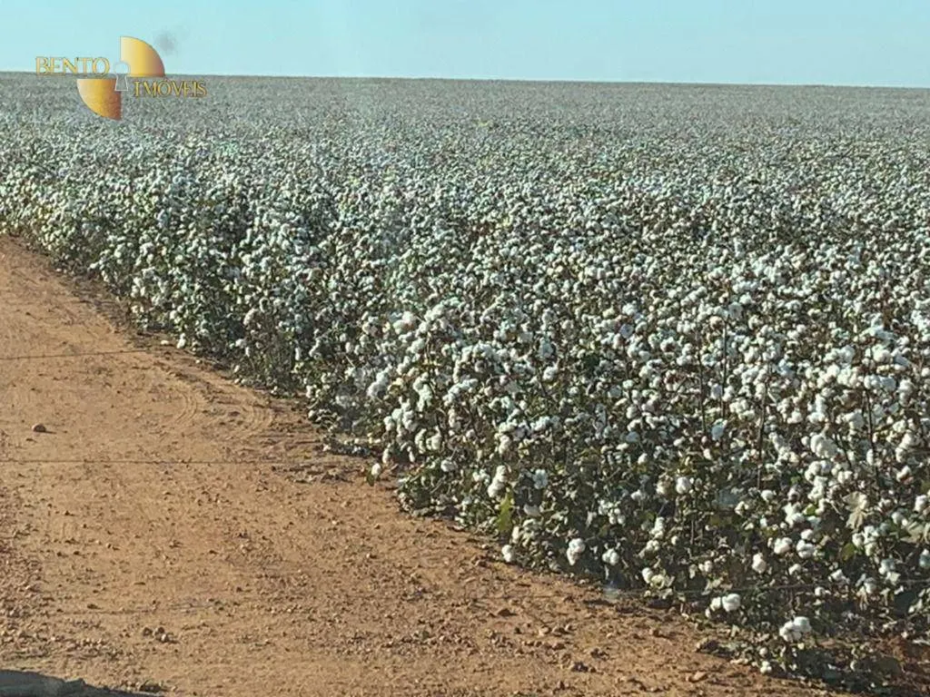 Fazenda à venda de 15.630 ha em Ipiranga do Norte, MT, Brasil