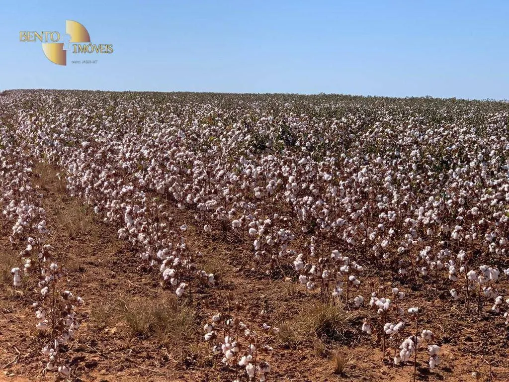 Fazenda à venda de 15.630 ha em Ipiranga do Norte, MT, Brasil