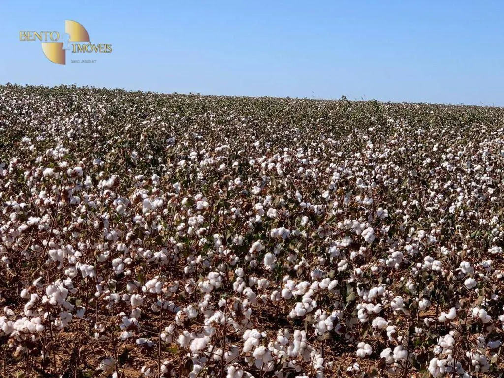 Fazenda à venda de 15.630 ha em Ipiranga do Norte, MT, Brasil