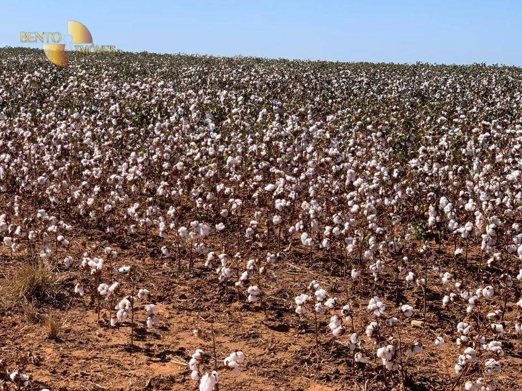 Fazenda à venda de 15.630 ha em Ipiranga do Norte, MT, Brasil