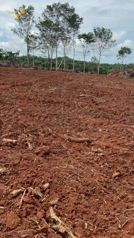 Fazenda à venda de 2.500 ha em Rondolândia, MT, Brasil