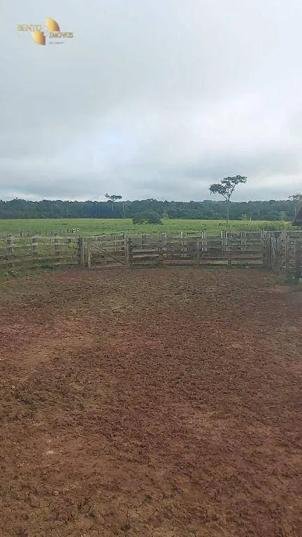 Fazenda à venda de 2.500 ha em Rondolândia, MT, Brasil