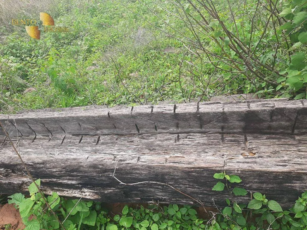 Farm for sale of 2,965 acres in Chapada dos Guimarães, MT, Brazil