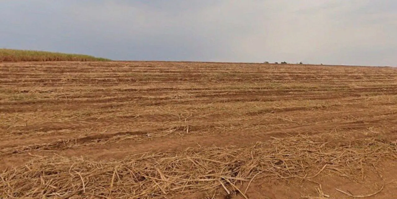 Fazenda à venda de 387 ha em Porto Feliz, SP, Brasil