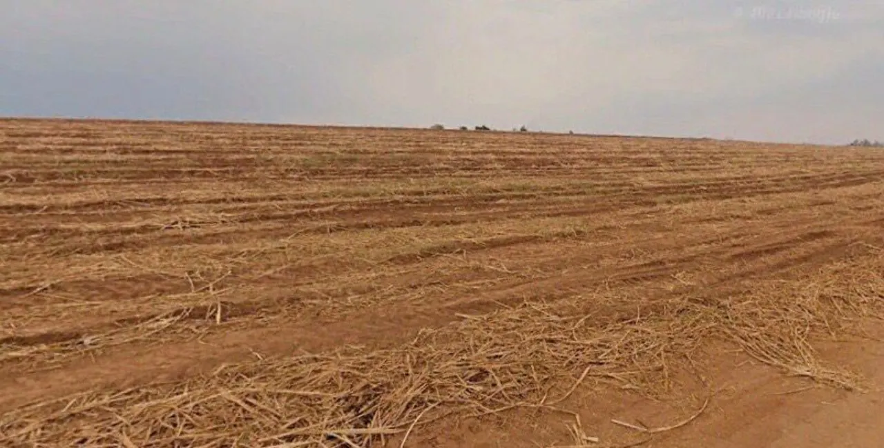 Fazenda à venda de 387 ha em Porto Feliz, SP, Brasil