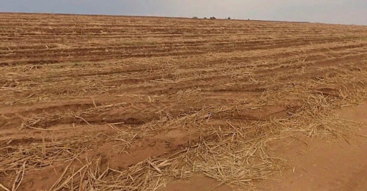 Fazenda à venda de 387 ha em Porto Feliz, SP, Brasil